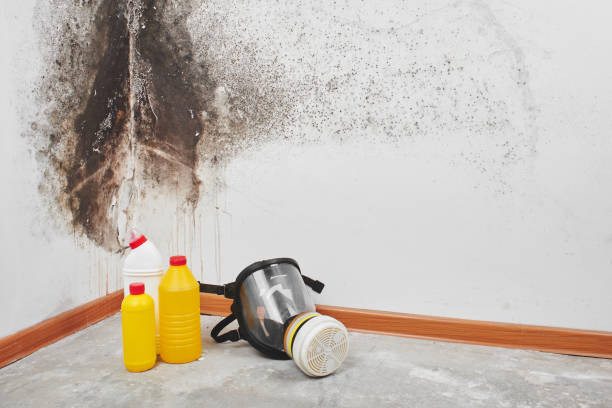 Water Damage Restoration in Rancho Mission Viejo, CA