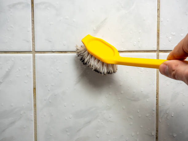 Best Certified Mold Removal  in Rancho Mission Viejo, CA