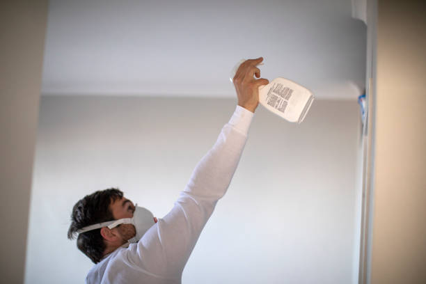 Best Emergency Mold Removal  in Rancho Mission Viejo, CA