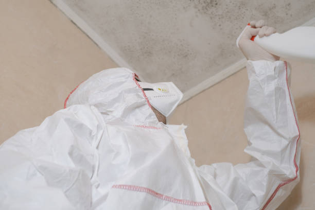 Mold Testing and Removal in Rancho Mission Viejo, CA