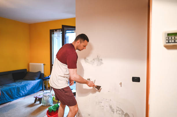 Trusted Rancho Mission Viejo, CA Mold Removal Experts
