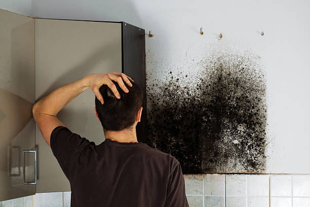 Best Fast Mold Removal  in Rancho Mission Viejo, CA